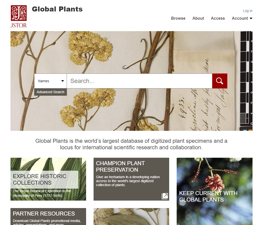 global plants
